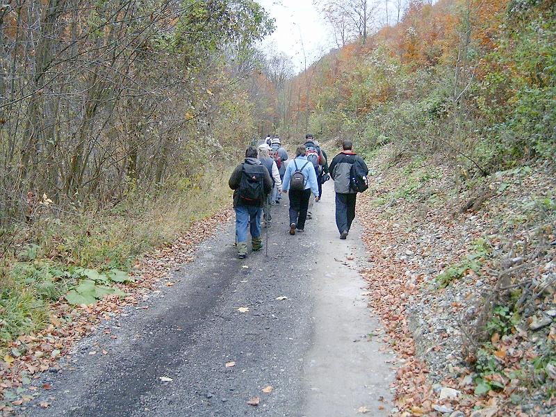 20101023 105.jpg